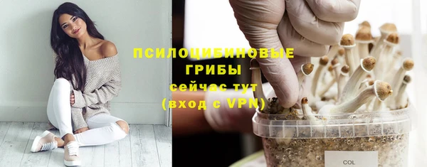 бутират Верея