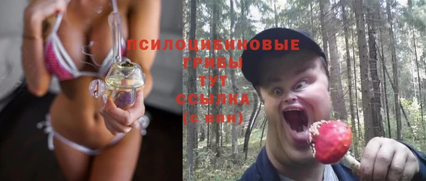 мдпв Бронницы