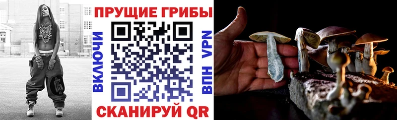 Псилоцибиновые грибы Magic Shrooms  купить   Вязники 
