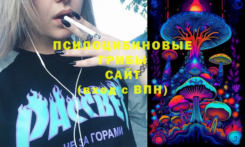 Галлюциногенные грибы Cubensis  дарнет шоп  Вязники 