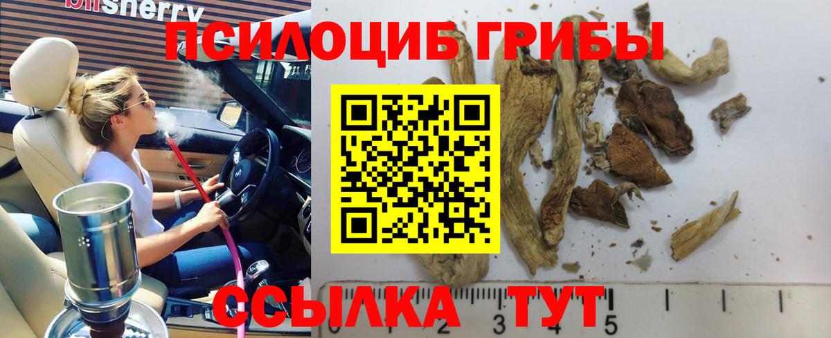 Псилоцибиновые грибы GOLDEN TEACHER  Вязники  наркотики  Галлюциногенные грибы мицелий 