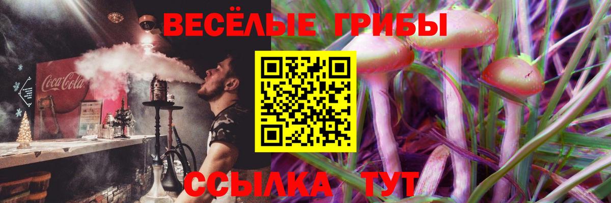 Галлюциногенные грибы Magic Shrooms Вязники